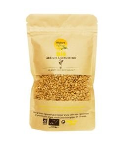 Blé - Graines à germer BIO, 150 g